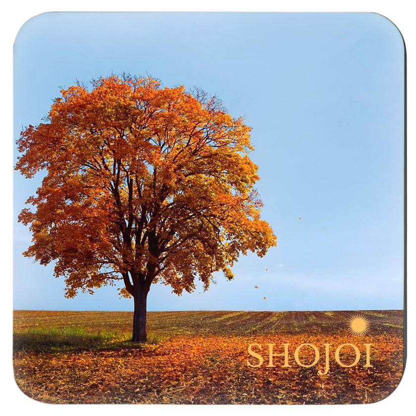 Fall Landscapes Coaster Set