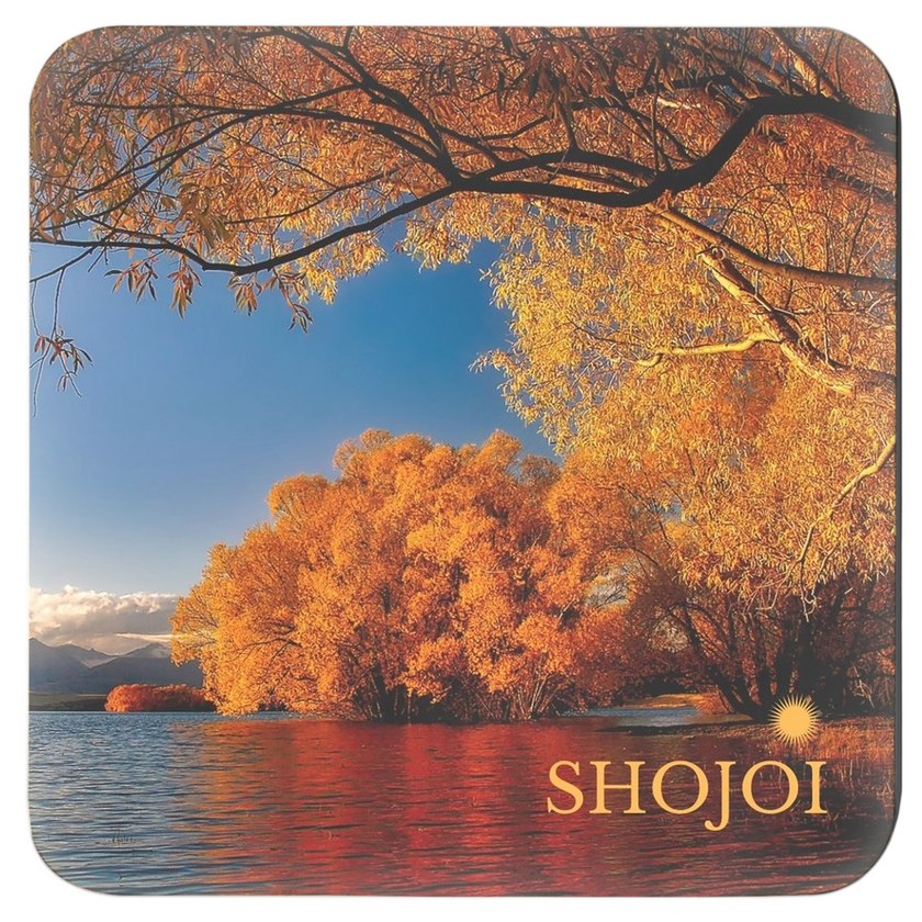 Fall Landscapes Coaster Set