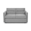 Grey Loveseat Sofa Bed with Pull-Out, Adjustable Back & Arm Pockets