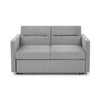 Grey Loveseat Sofa Bed with Pull-Out, Adjustable Back & Arm Pockets