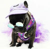 Pets Cap Purple