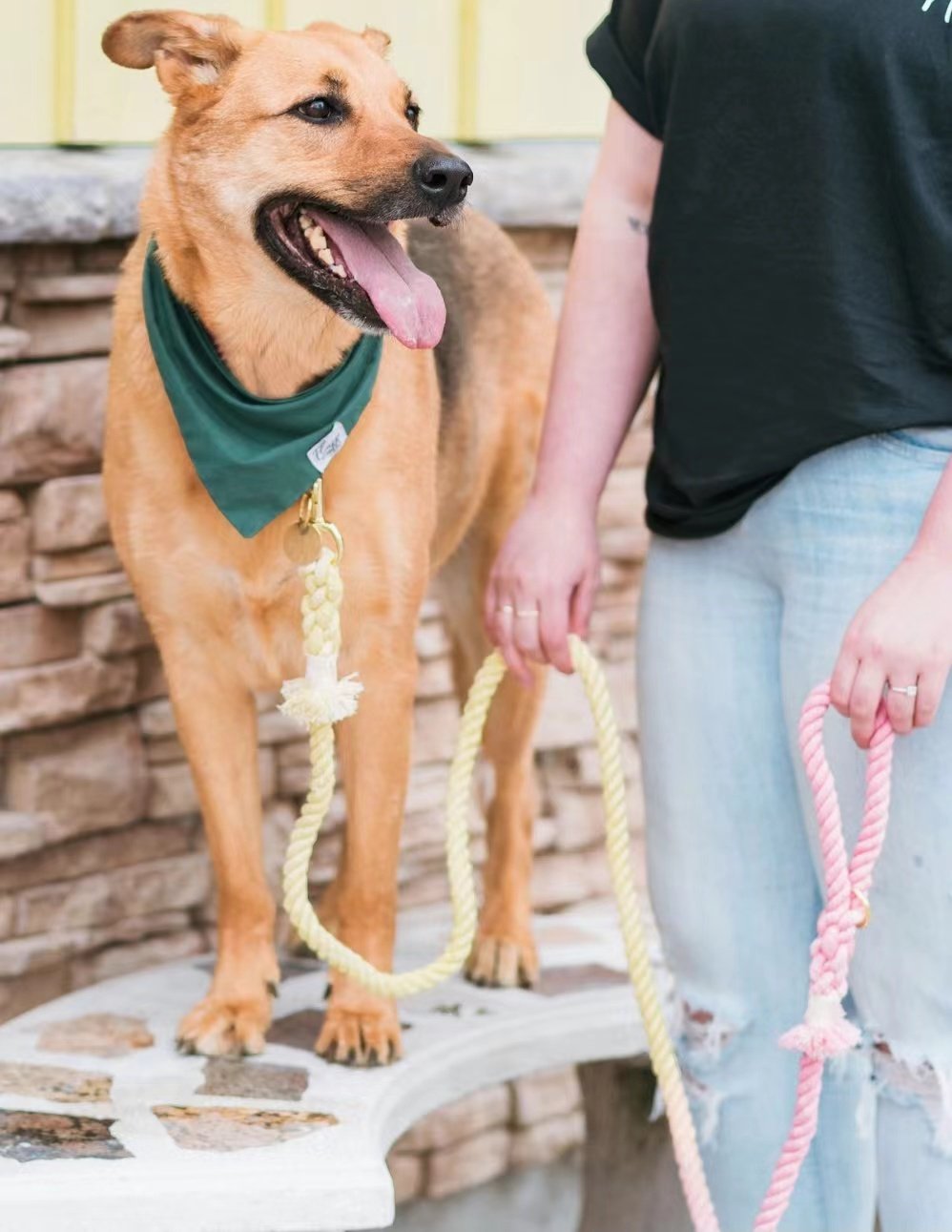 Laisse en Corde pour Chien - Rouge Pastèque