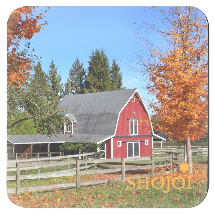 Fall Landscapes Coaster Set