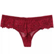 Sensual Lace Embroidered Thong – Temptation Low-Waist, Transparent Design