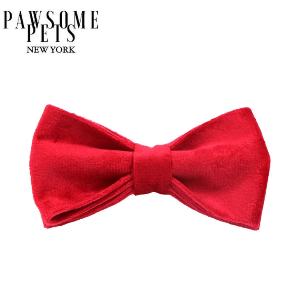 Bowtie - Red