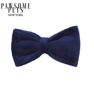 Bowtie - Royal Blue