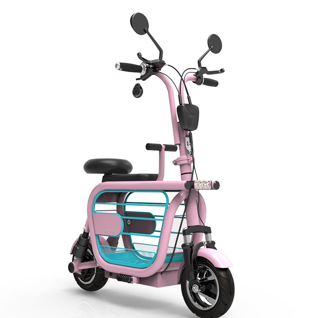 High Quality Two Seats Electric Bicycle Folding Electric Bike for Adults/ 48V Folding E Bike/Battery Powered Bikes for Adults