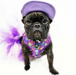 Pets Cap Purple