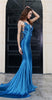 Blue Evening Gown