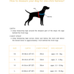 Aurelia One-Click Dog Harness