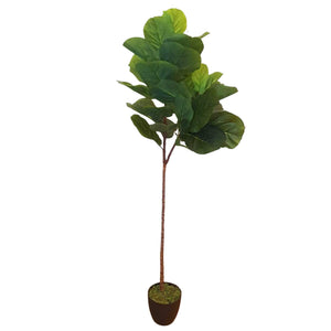 Tall Artificial Fiddle Leaf Fig 170cm