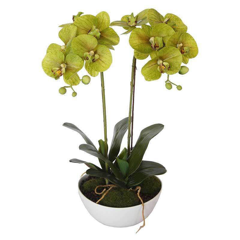 50cm Flowering Artificial Potted Orchid - Multi Stem