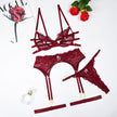 Adult Lingerie Woman Hollow Bra Set