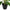 Artificial Flowering White & Orange Peace Lily / Calla Lily Plant 50cm