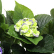 Hortensia artificiel 74 cm en pot (mélange de violets et de jaunes)