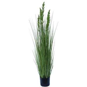 Flowering Native Grass 120cm