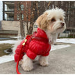 Cherry Red Leather One-Click Dog Harness