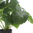 L'usine artificielle mise en pot dense de Philodendron fendue avec le vrai contact laisse 50cm