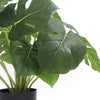 L'usine artificielle mise en pot dense de Philodendron fendue avec le vrai contact laisse 50cm