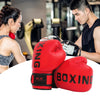 Professional Fighting Gloves