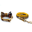 Medallion Collar, Leash & Bow Tie Set