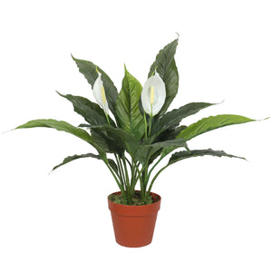 Plante artificielle de lys de paix Spathiphyllum avec fleurs blanches 60 cm