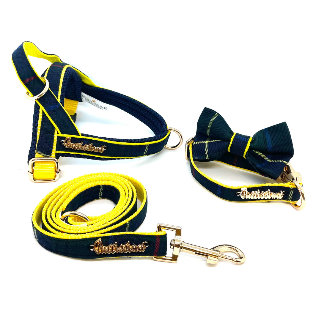 Scotland Tartan Leash