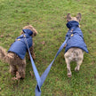 Laisse assortie à la pluie marine