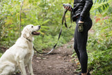 Sac à friandises pour chien de l'armée américaine - Camo foncé