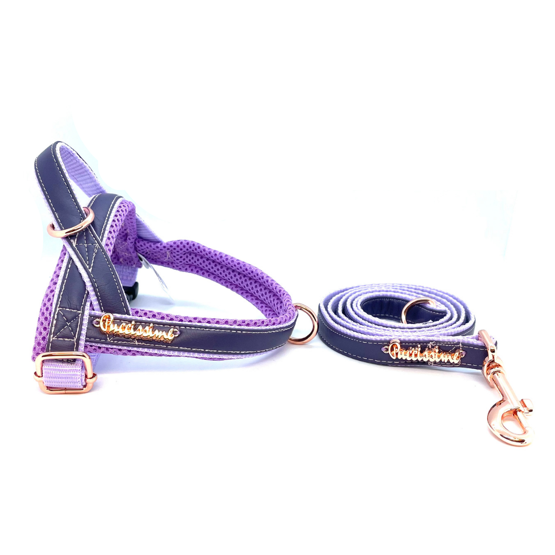 Orchid One-Click Harness