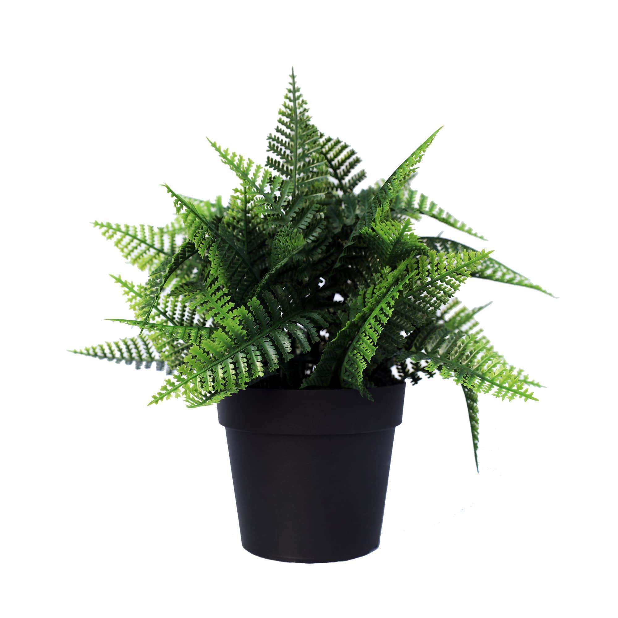 Petite fougère Persa Boston artificielle en pot, plante résistante aux UV, 20cm