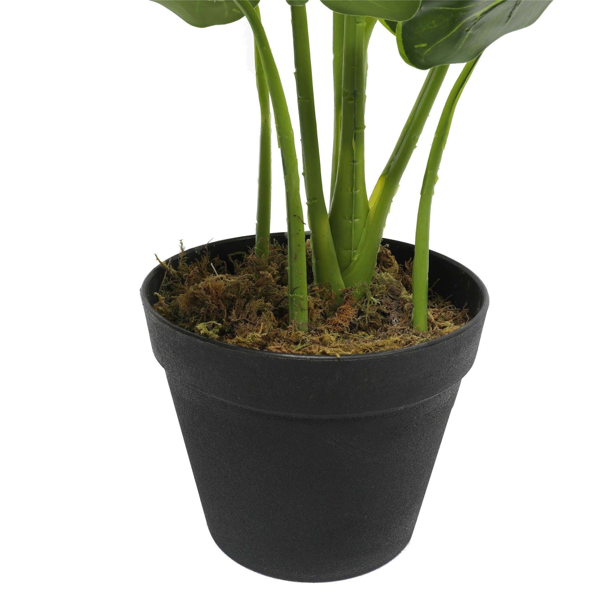 Plante de taro artificielle en pot / oreille d'éléphant 55 cm