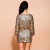 Brenda Sequin Dress