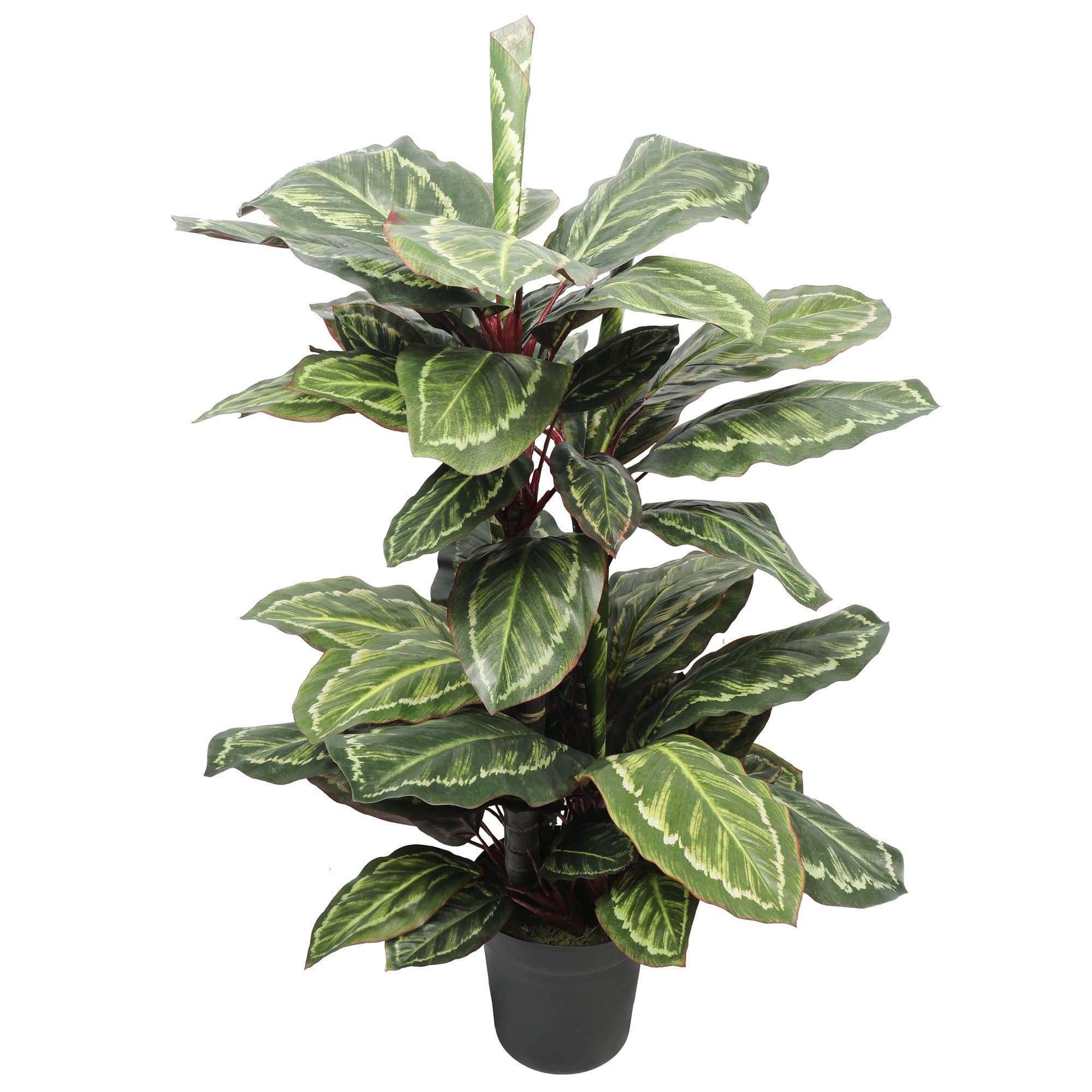 Artificial Wide Leaf Cordyline Plant 90cm