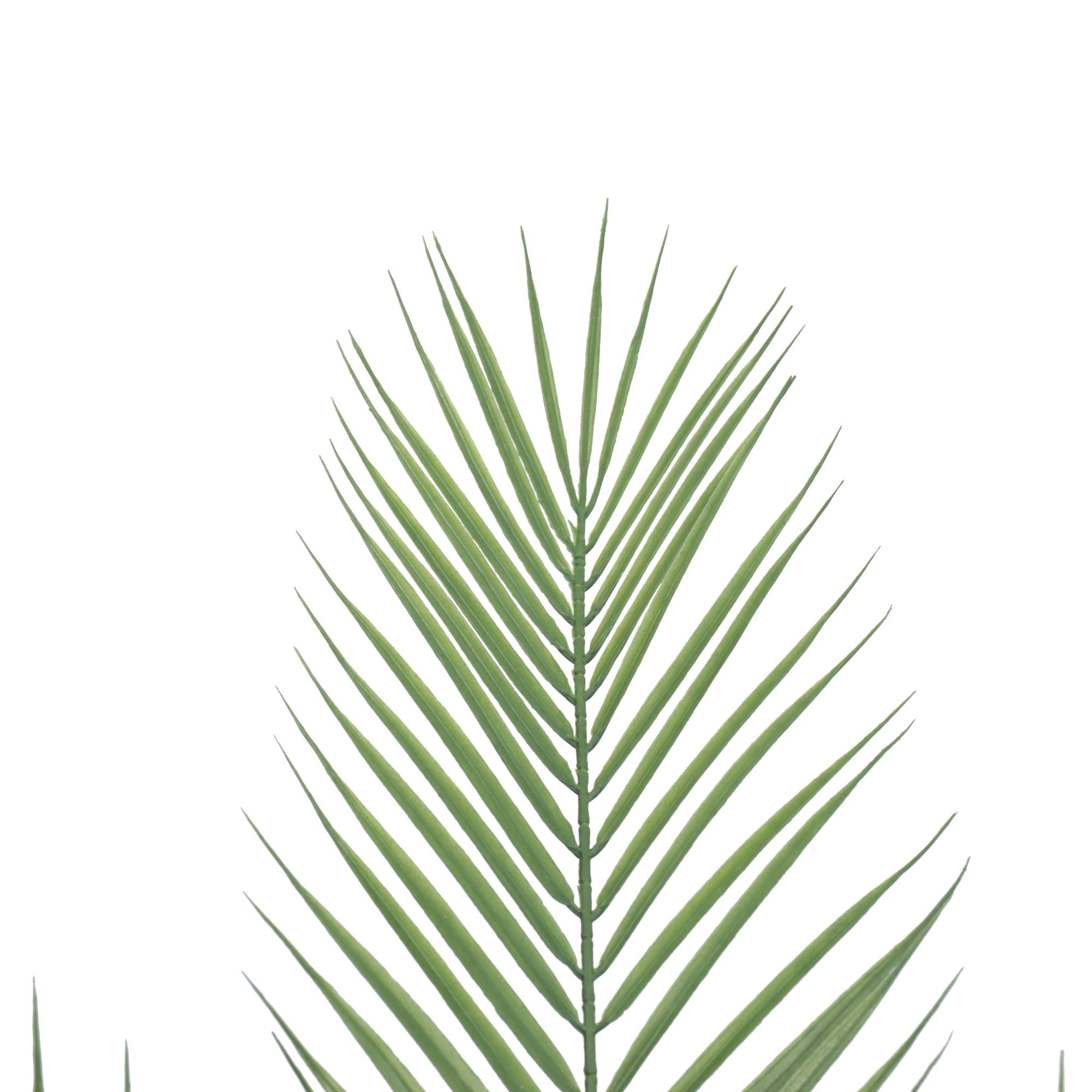 Artificial Phoenix Palm Plant 80cm