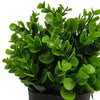 Petite plante Peperomia artificielle en pot résistante aux UV 20 cm