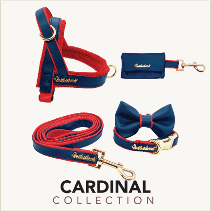 Collier Cardinal