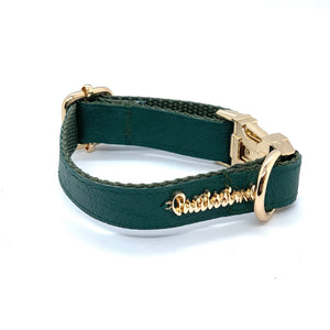 Collier pour chien Jade