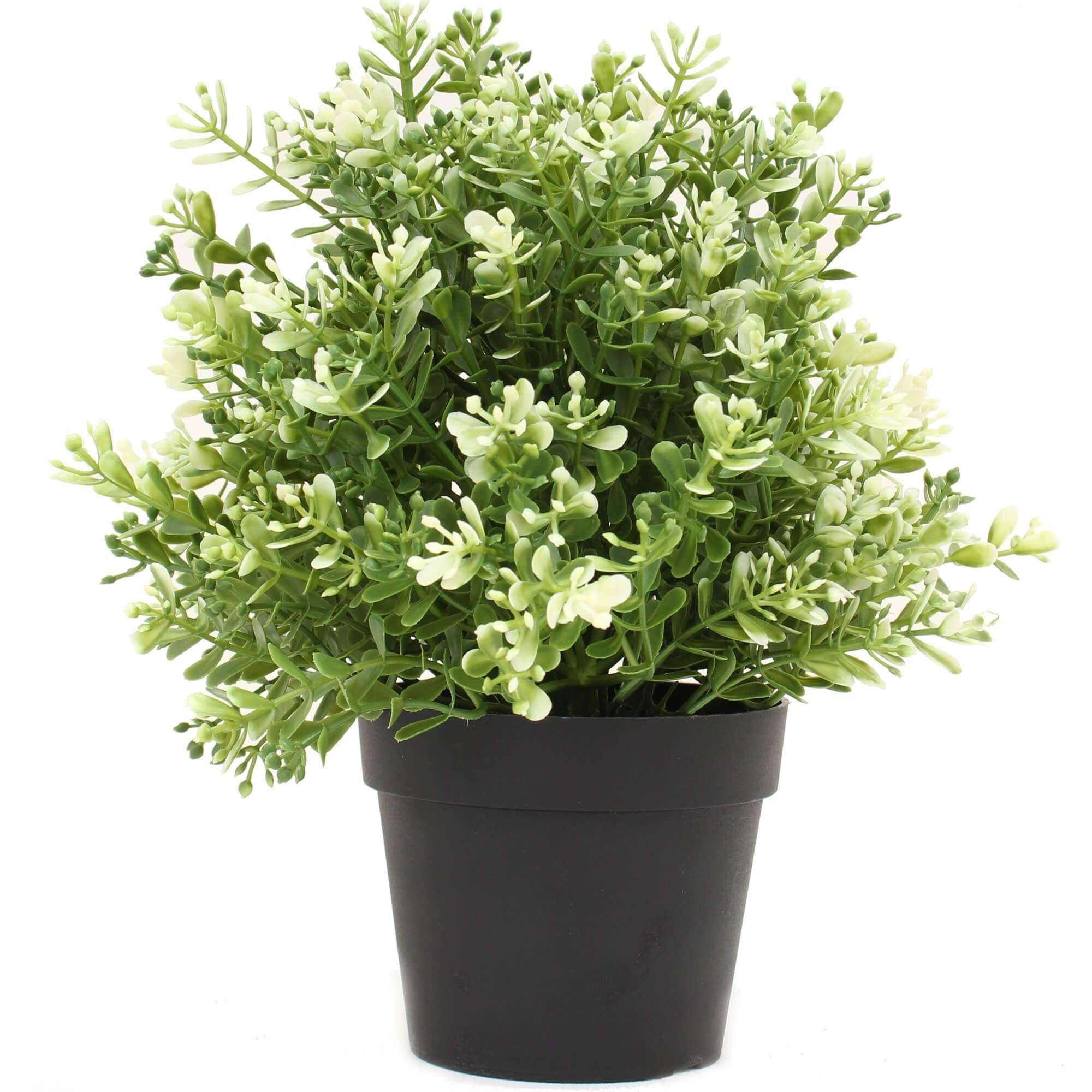 Petite plante de jade blanche artificielle en pot résistante aux UV 20 cm