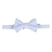 Blue Oxford Bowtie