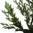 Artificial Olive Tree With Olives 125cm