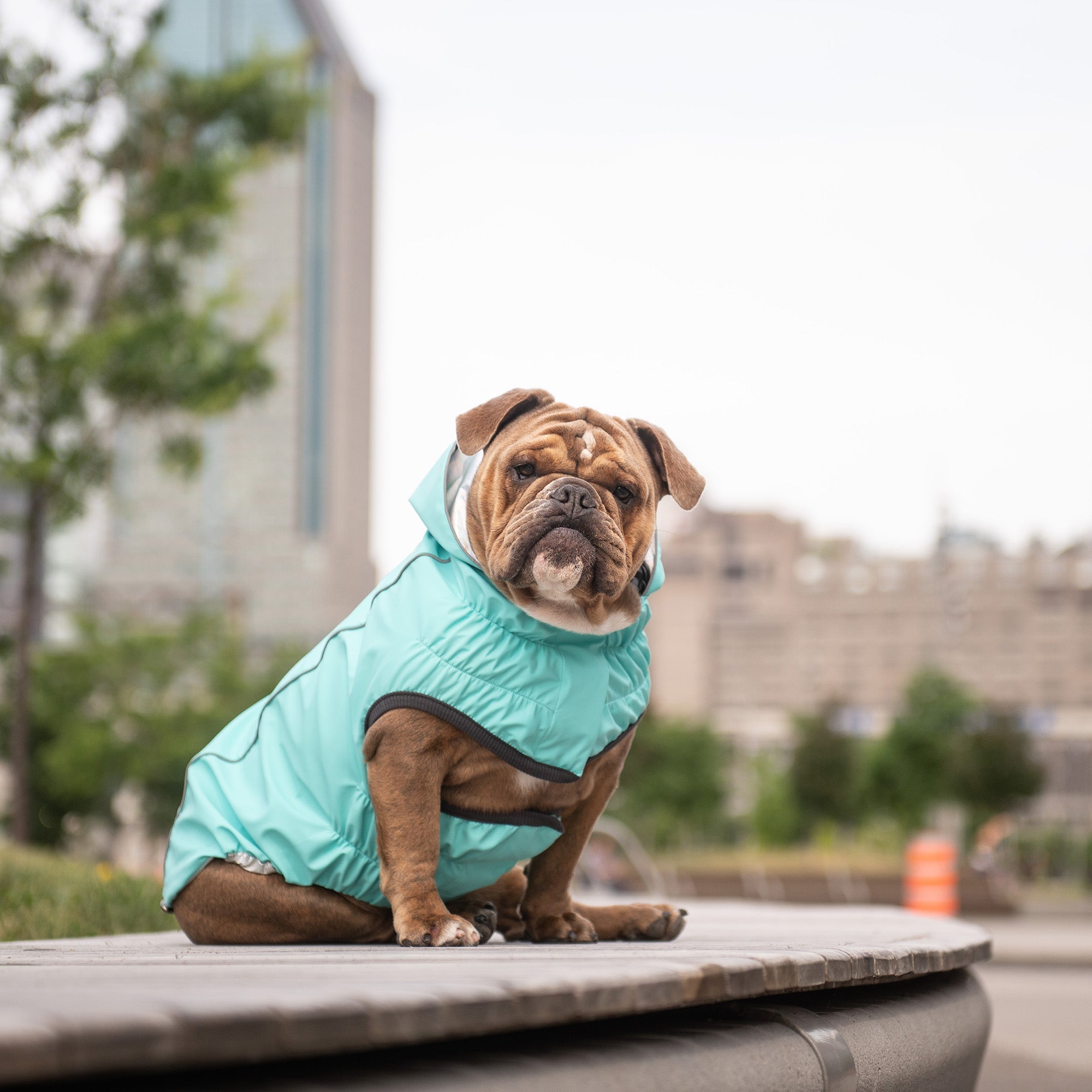 Reversible Raincoat - Neon Aqua With Iridescent