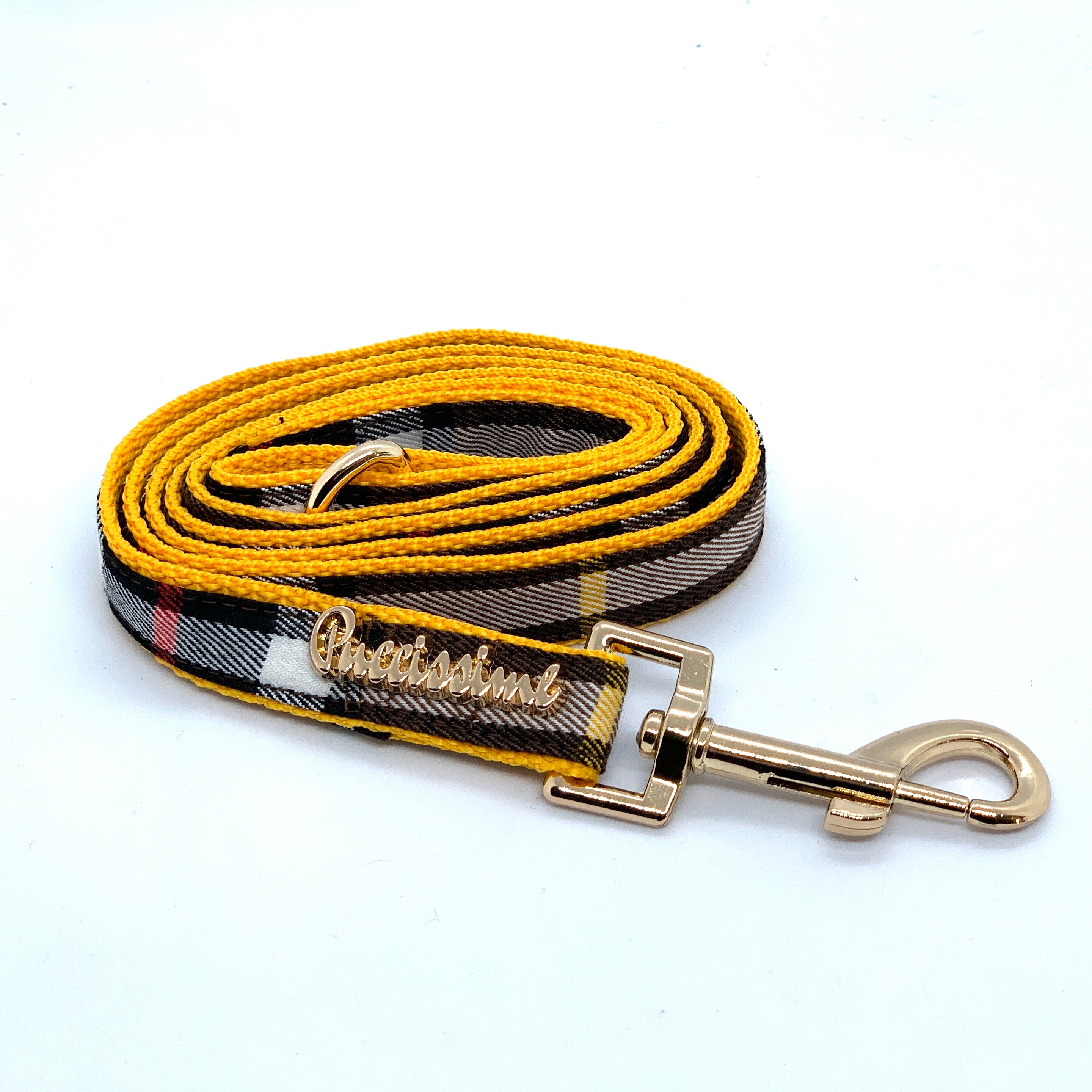 Collier pour chien médaillon