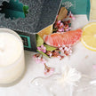 Pacific Pomelo Boxed Luxury Candle