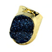 Amy Druzy Statement Ring in Gold