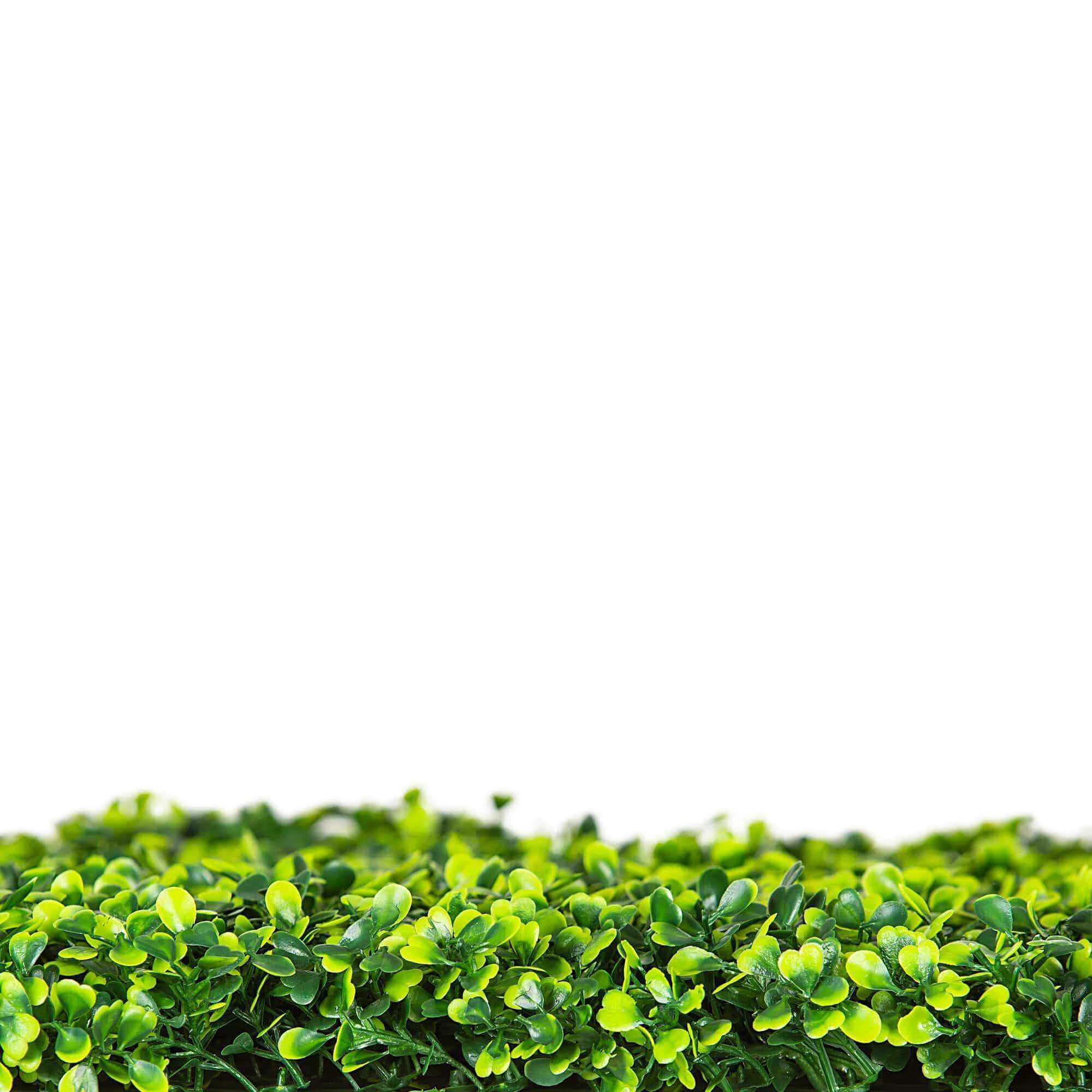 Light English Artificial Boxwood Hedge Panel / Fake Green Wall