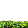 Light English Artificial Boxwood Hedge Panel / Fake Green Wall