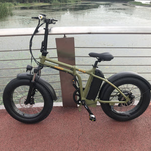 750W Electric Folding Fat Tire Bike