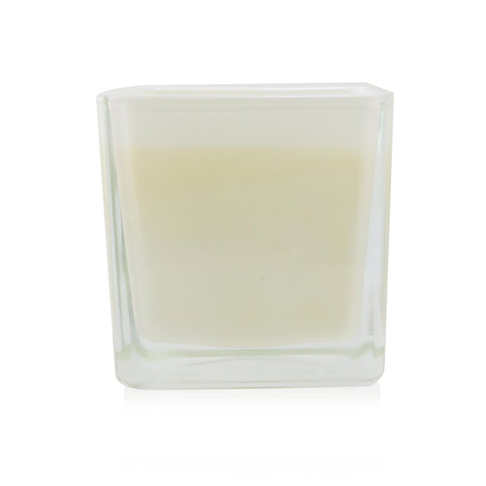 ACQUA DELL'ELBA - Scented Candle - Limonaia Di Sant'Andrea