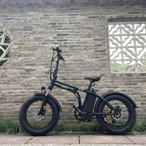 750W Electric Folding Fat Tire Bike